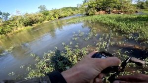 Fishing a CONTROVERSIAL River (TOPWATER BLOWUPS!!)