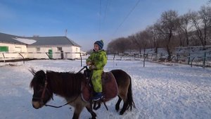 Конная прогулка с детьми. Horse ride with children. 7 Club.