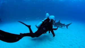 Имиджевый ролик канала HDL # 2