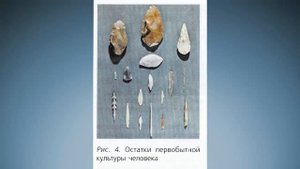Биология 8 класс $3 Происхождение и эволюция человека. Антропогенез