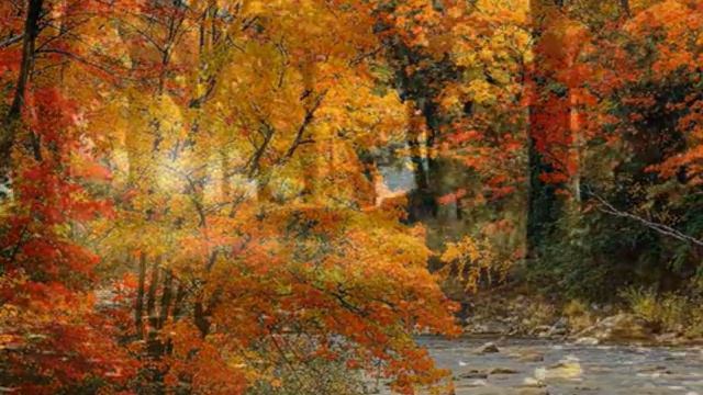 осень с анной вески 720x576 смотреть онлайн