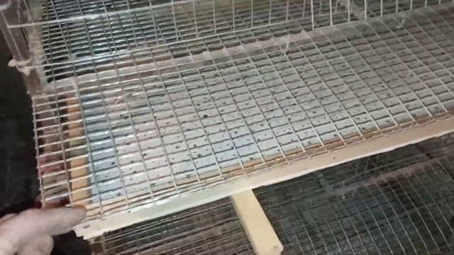 Поддоны для клеток перепелов смотреть онлайн