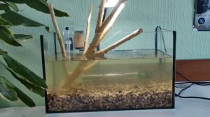 СОБРАЛ АКВАРИУМ НА 20 ЛИТРОВ!!!