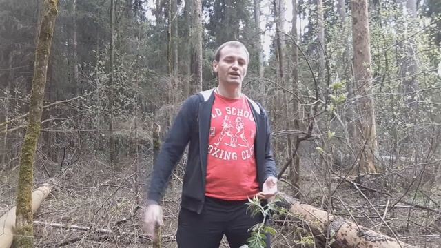 Почему надо заниматься без фанатизма?