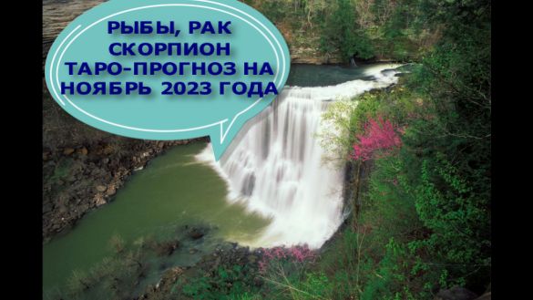 РЫБЫ, РАК, СКОРПИОН ТАРО-ПРОГНОЗ НА НОЯБРЬ 2023 ГОДА