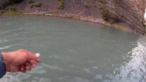 Нерест окуня в июне месяце!