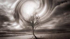 Элвин Грей Гумерзар ута