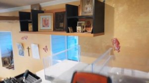 Холодильник bosch не включается.