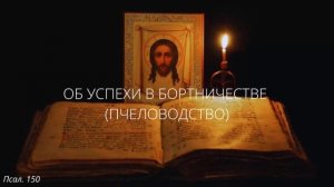 30. Об успехи в бортничестве (Пчеловодство)