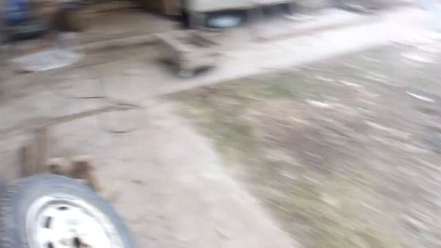 От корм свиней, эксперимент с БМВД. смотреть онлайн