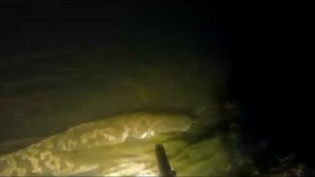 подводная охота ангара серия 5 смотреть онлайн