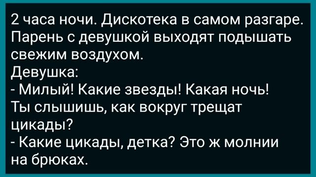Теща в Купе Подшутила Над Зятем! Сборник Свежих Анекдотов! Юмор! смотреть онлайн
