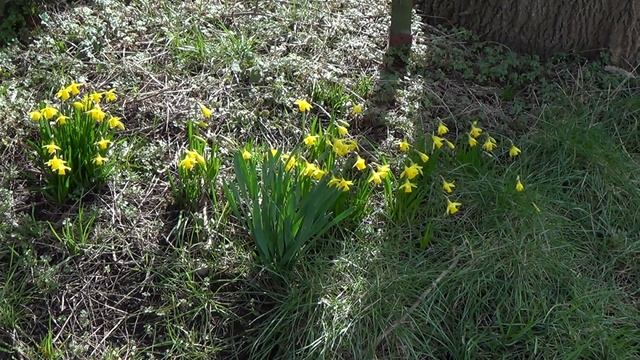 Sony Handcam HDR-PJ320E sample video with manual exposure смотреть онлайн