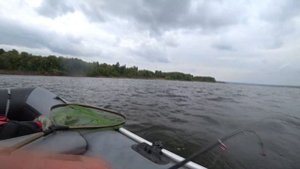 Наконец то Крупный ЛЕЩ пошёл. Рыбалка на сильном течении. Ловля леща на кольцо 2019