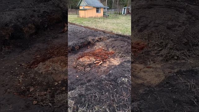 Как менялась наша дача… Как менялся наш земельный участок