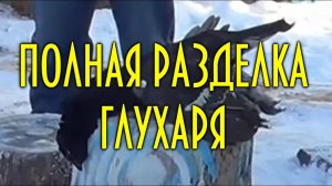 Таежная разделка глухаря (боровой дичи) для приготовления пищи, полная версия
