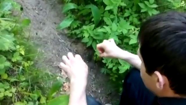 Cristiano Ronaldo fishing - Уроки профессиональной рыбалки. Урок 1 - готовим подкормку на карпа! смотреть онлайн