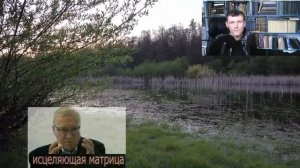 Матрица Гаряева Полное Исцеление Всего Организма