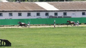 21.06.2024г.Абаканский Ипподром  лошади 2-х лет  рысистых пород 1600м