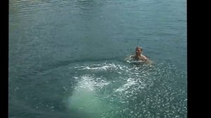 Прыжки в воду