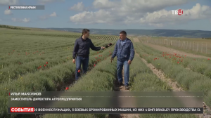 В Крыму оценивают последствия майских заморозков / События на ТВЦ