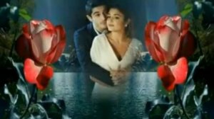 А я несу тебе цветы