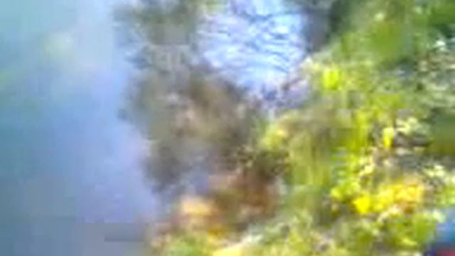 Сумасшедшая рыбалка.3gp смотреть онлайн