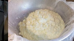 Домашний твердый сыр за 20 минут!  Вкусно и полезно!