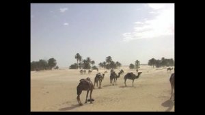 Сахара. Тунис