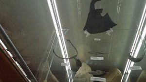 Тур выходного дня, Верея. Близко и достойно. Можайск-Верея.