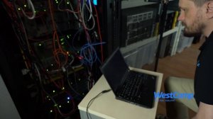 Как узнать полученный по DHCP адрес устройства в сети? Поиск по mac-адресу, сканирование nmap