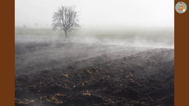 Листопад - ворота зими - Алевтина Волкова