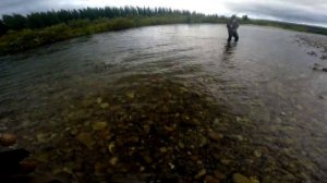 Приполярный Урал,  хариус на  нахлыст  , часть 1