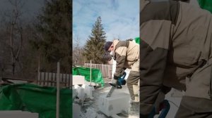 у блоки цепной пилой с твердосплавными напайками