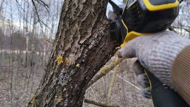 Kolner продажа на авито смотреть онлайн