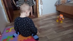 VID_20190320_072813.mp4