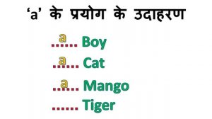 use of a and an  /  a और an का प्रयोग