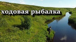 ХОДОВАЯ РЫБАЛКА НА СПИННИНГ!!! Тундровые реки не дают скучать!