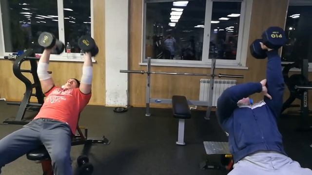 Прокачка трицепса гантелями смотреть онлайн