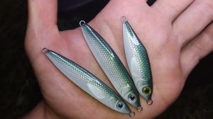 22 сентября 2023 г.