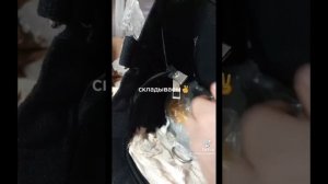 ведьмы травницы из тт