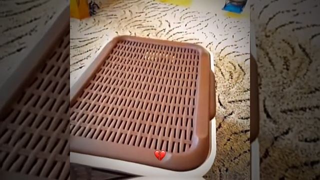 СМОТРИ И СМЕЙСЯ смотреть онлайн