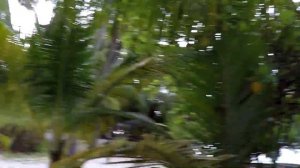 Отель Kurumba Maldives 5 Мальдивы обзор от ht.kz