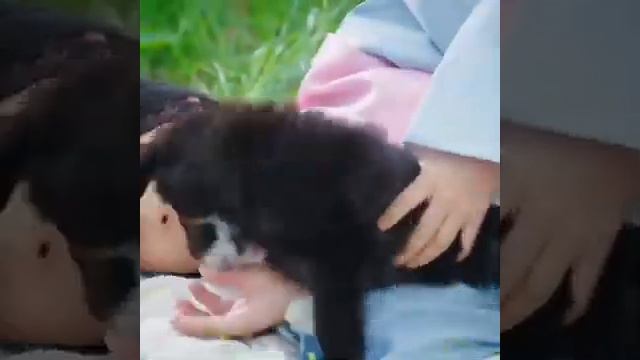 Ким Бом Дорама Сказка/Сказание о Кумихо