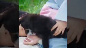 Ким Бом Дорама Сказка/Сказание о Кумихо