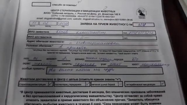 Отчёт для Фонда президентских грантов