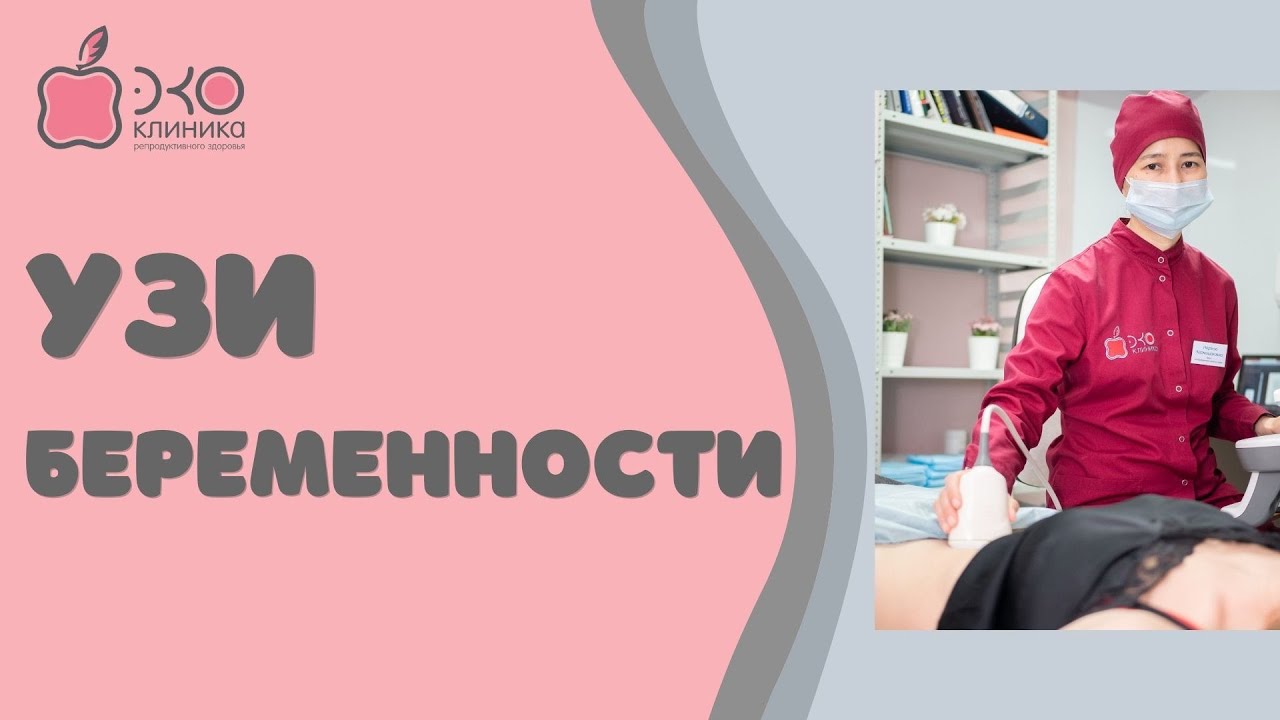 УЗИ при беременности в клинике "ЭКО"