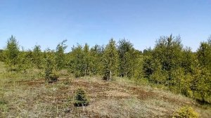 Потеряевское озеро Фурмановский район Ивановской области 2018