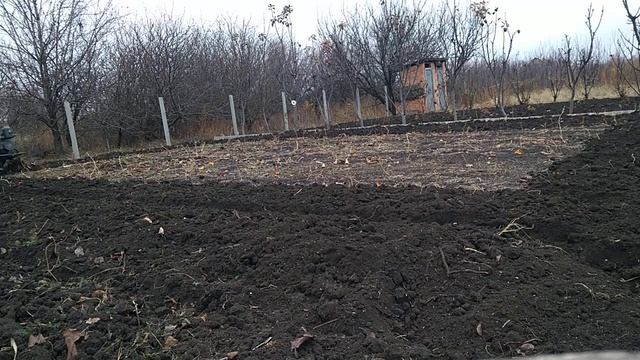 Гусиные лапки творят чудеса смотреть онлайн