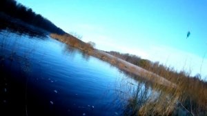 Рыбалка на живца поплавочной удочкой в марте . Щучья протока